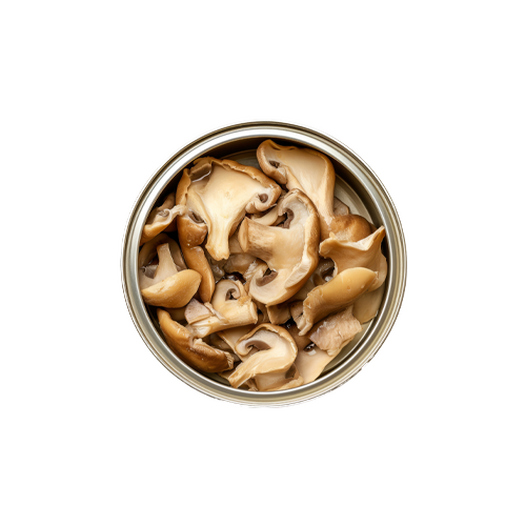 Canned champignons Canned champignons