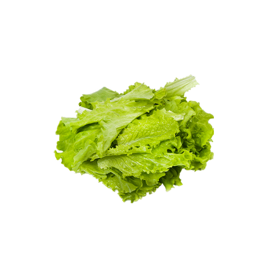 Lettuce