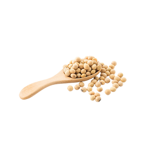 Soy
