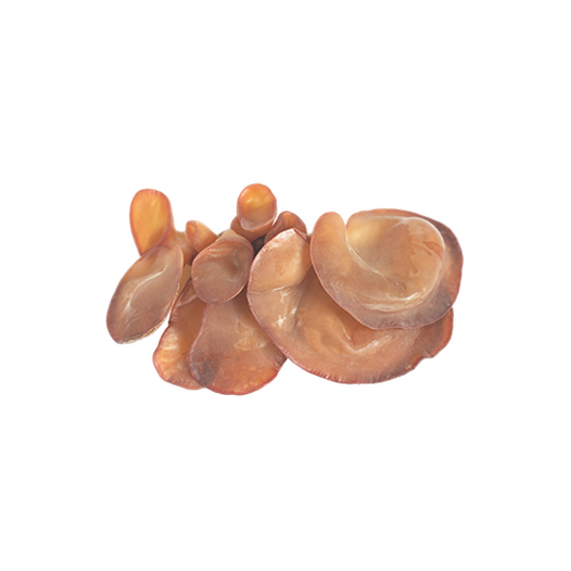 Wood ear mushrooms