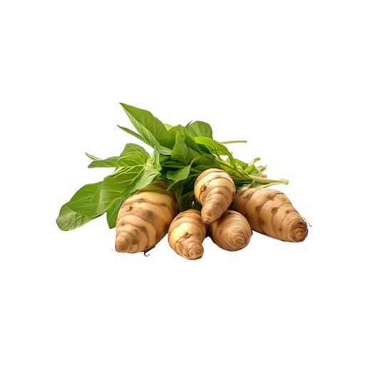 Jerusalem artichoke