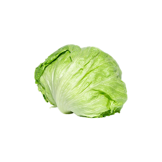Iceberg lettuce Iceberg lettuce