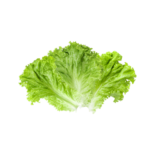 Lettuce leaves Lettuce leaves