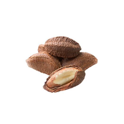 Brazil nut