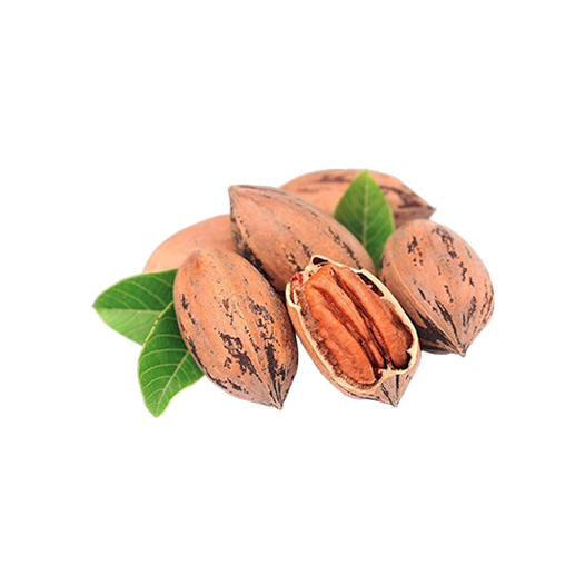 Pecan